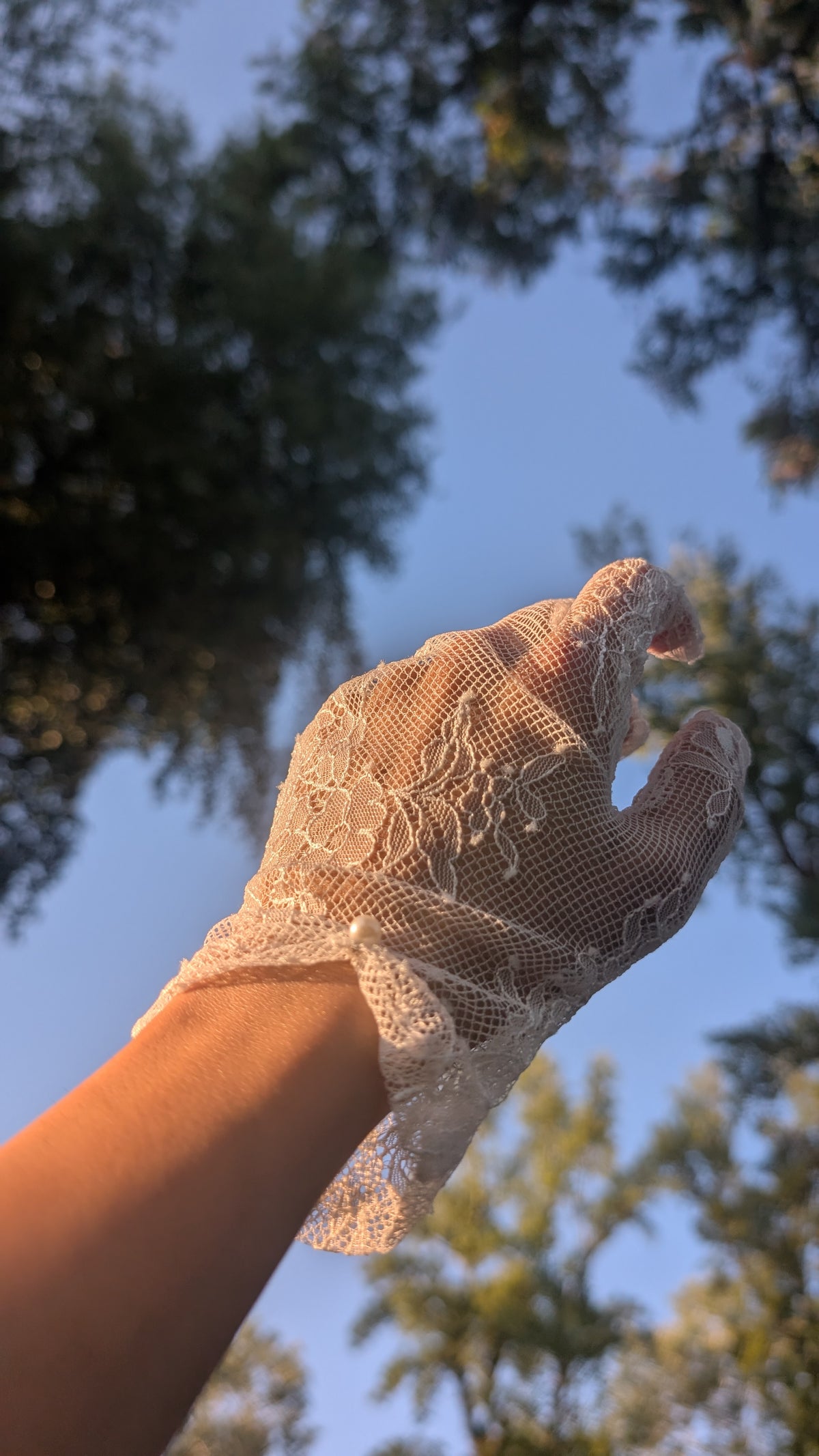 Kurze Handschuhe aus französischer Guipure-Spitze -Colette